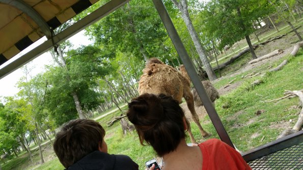 CameraZOOM-20150404134047112